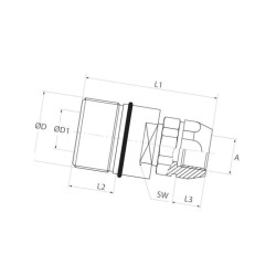Szybkozłacze skręcane gniazdo M36x2 wew. 1/2" Bsp Stauff