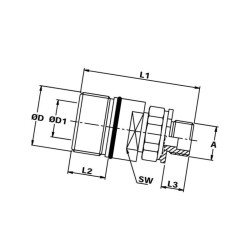 Szybkozłacze skręcane gniazdo M36x2 wew. 1/2" Bsp Stauff B500-SKSF12A08