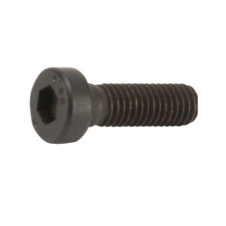 Śruba imbusowa z niskim łbem kl. 8.8 ocynk , M5 × 16 mm