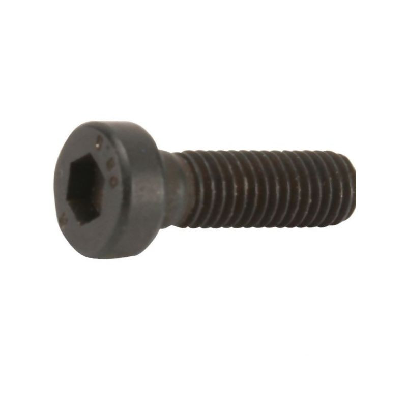 Śruba imbusowa z niskim łbem kl. 8.8 ocynk , M5 × 16 mm