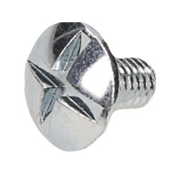 Wkręt z łbem grzybkowym poszerzanym kl. 4.6 ocynk ,  M6 x 10 mm
