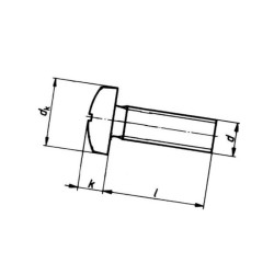 Wkręt z łbem grzybkowym poszerzanym kl. 4.6 ocynk ,  M10 x 80 mm