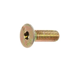 Amazone DD220 Śruba M8x25 V2A