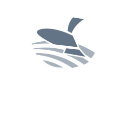 Kongskilde 41651837800 Sealing Washer