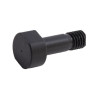 Amazone 917398 Śruba M15x31 mm