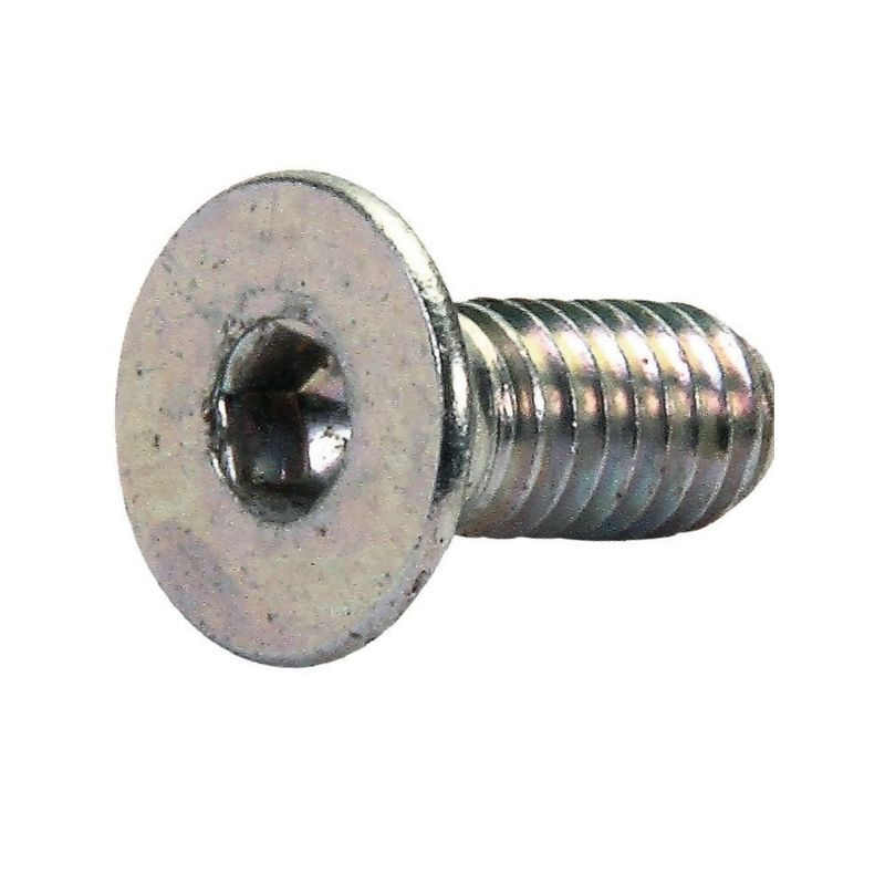 Gaspardo F01030011R - Śruba 4x10 5933 10,9 ZN Maschio F01030011R