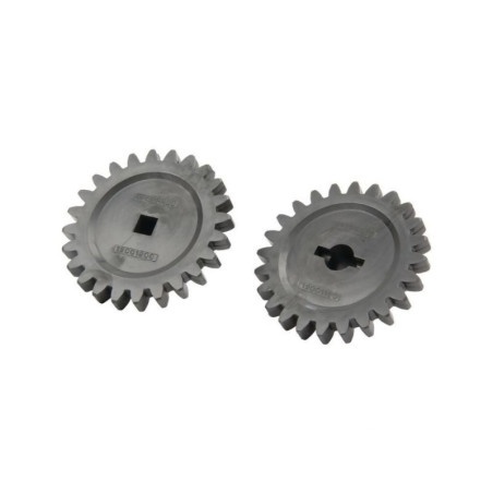 Gaspardo G11475210R - Zestaw kół zębatych 24 Maschio G11475210R