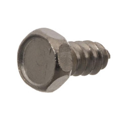 Gaspardo F01070011R - Śruba H4,2x1,41x9,5