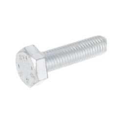 Gaspardo F01020483R - Śruba M10x1,5x40