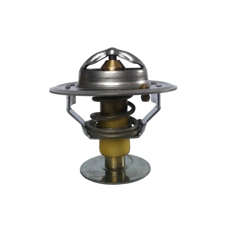 TERMOSTAT  (6005025579)