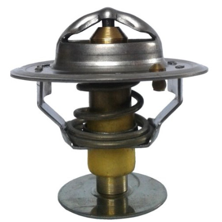 TERMOSTAT  (6005025579)