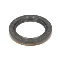 Simmering 48x68x8 B1BASLSFRSX3 ACM Corteco 01036282B