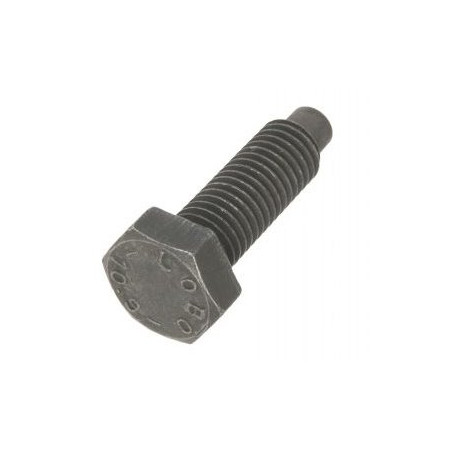 Śruba 10.9 m12*40  (822100220390)