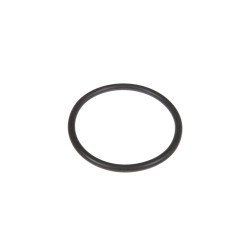 Oring (F934201510290)