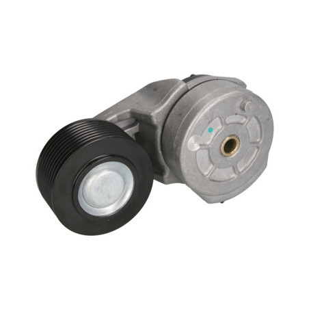 Napinacz paska wielorowkowego, Case J934819,