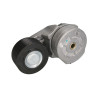 Napinacz paska wielorowkowego, Case J934819,