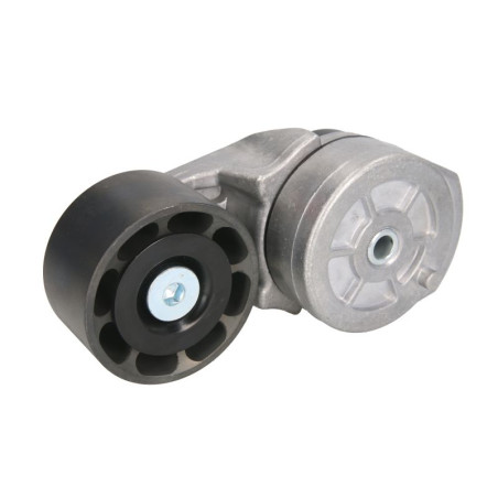 Napinacz paska wielorowkowego, Case 87801838,