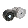Napinacz paska wielorowkowego, Case 87801838,