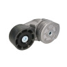 Napinacz paska wielorowkowego, Case 47683084,