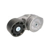 Napinacz paska wielorowkowego, Case87801838,