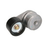 Napinacz paska wielorowkowego, Massey Ferguson V836667827,