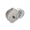 Napinacz paska wielorowkowego, Case BTK2727,
