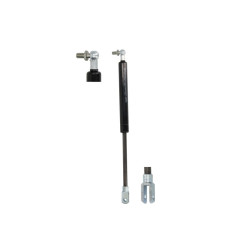 Amortyzator gazowy K10/G06 355/190mm 850N typ P