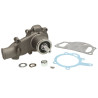 Pompa wody Massey Ferguson 3640565M91