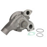 Pompa wody Perkins U5MW0159