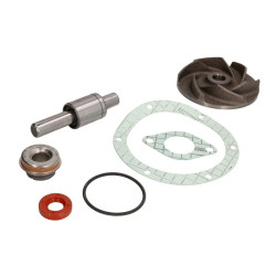 U5MW0159/1 Massey Ferguson Zestaw naprawczy pompy cieczy chłodzącej
