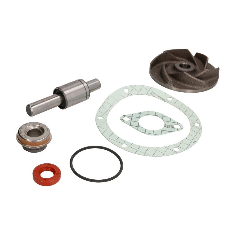 U5MW0159/1 Massey Ferguson Zestaw naprawczy pompy cieczy chłodzącej