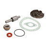 U5MW0159/1 Massey Ferguson Zestaw naprawczy pompy cieczy chłodzącej