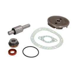 U5MW0159/1 Massey Ferguson Zestaw naprawczy pompy cieczy chłodzącej