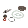 U5MW0159/1 Massey Ferguson Zestaw naprawczy pompy cieczy chłodzącej