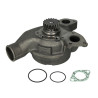 Pompa wody Massey Ferguson 3637249M91