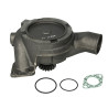 Pompa wody Massey Ferguson 3637249M91