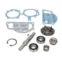 4131A021 Perkins Zestaw naprawczy pompy cieczy chłodzącej