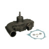 Pompa wody Massey Ferguson 3641859M91