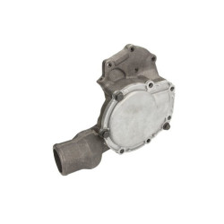 Pompa cieczy chłodzącej  4226913M91, U5MW0208, 704637