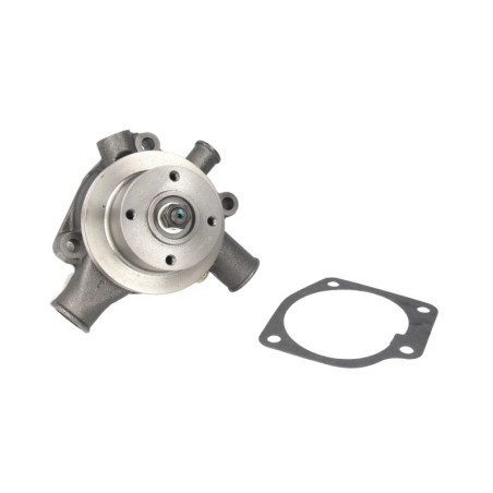 Pompa wody Massey Ferguson 3641250M91 Massey-Ferguson 2000-3641250M91