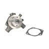 Pompa wody Massey Ferguson 3641250M91 Massey-Ferguson 2000-3641250M91