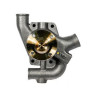 Pompa wody Massey Ferguson 4224105M91 Massey-Ferguson 2000-4224105M91