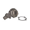 Pompa wody Massey Ferguson 3641832M91