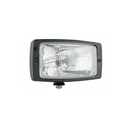 Reflektor w obudowie, RE 256.7 1400661100 Wesem 5905445256775
