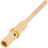 Deutsch 0460-202-2031