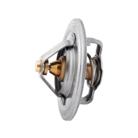Termostat 2690TW20 pasuje do SW-400