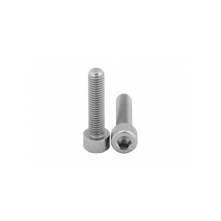 Śruba imbusowa M6x16 A2 KG00738100 Vicon