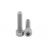 Śruba imbusowa M6x16 A2 KG00738100 Vicon
