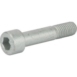 Vicon PS VN19380823 Śruba M10x48/10,9 Kverneland