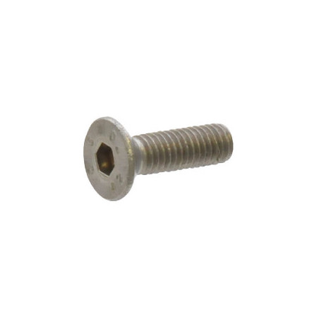 Vicon KG00870200 Śruba M6x20 A2
